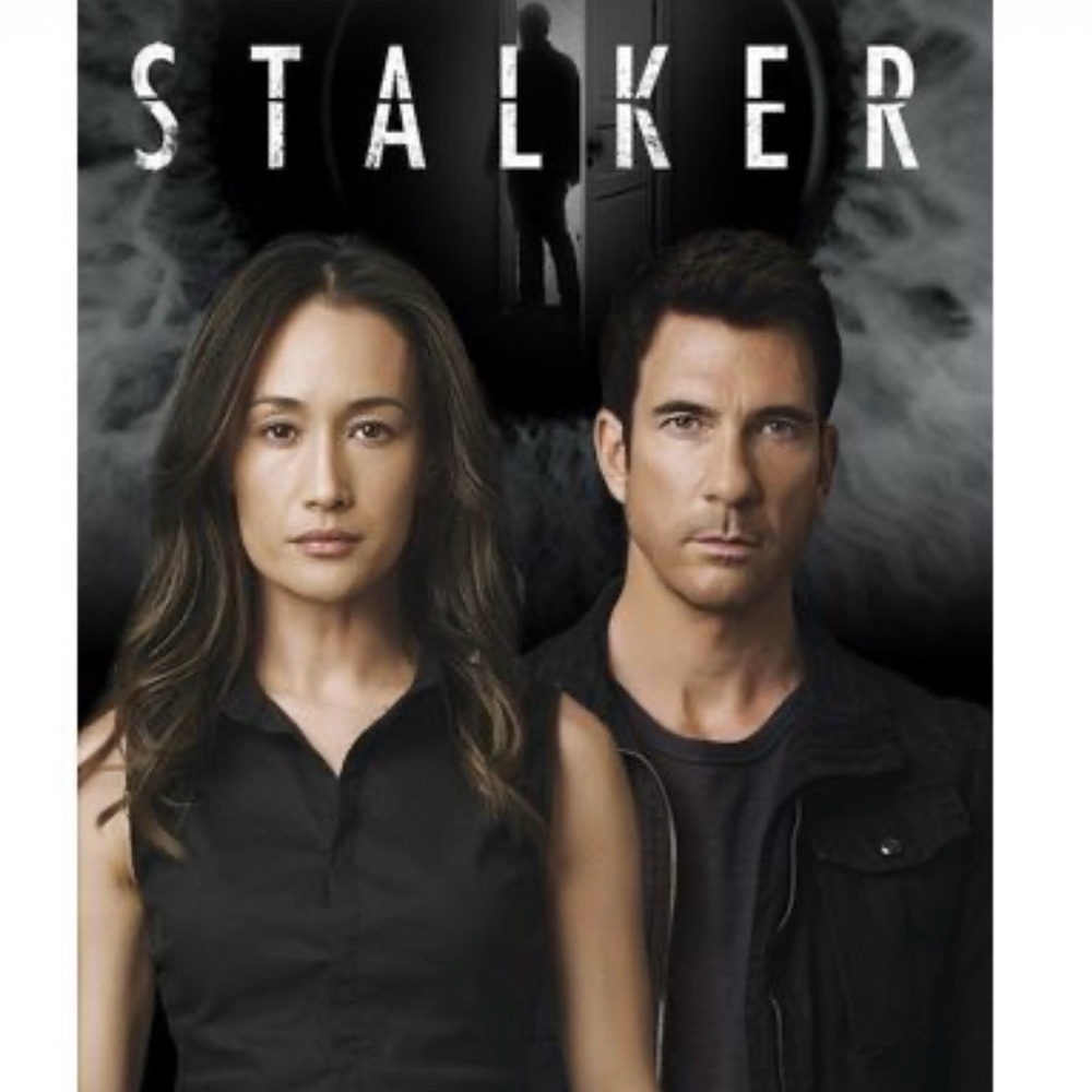 ISO ( in search of ) Stalker TV show dvd